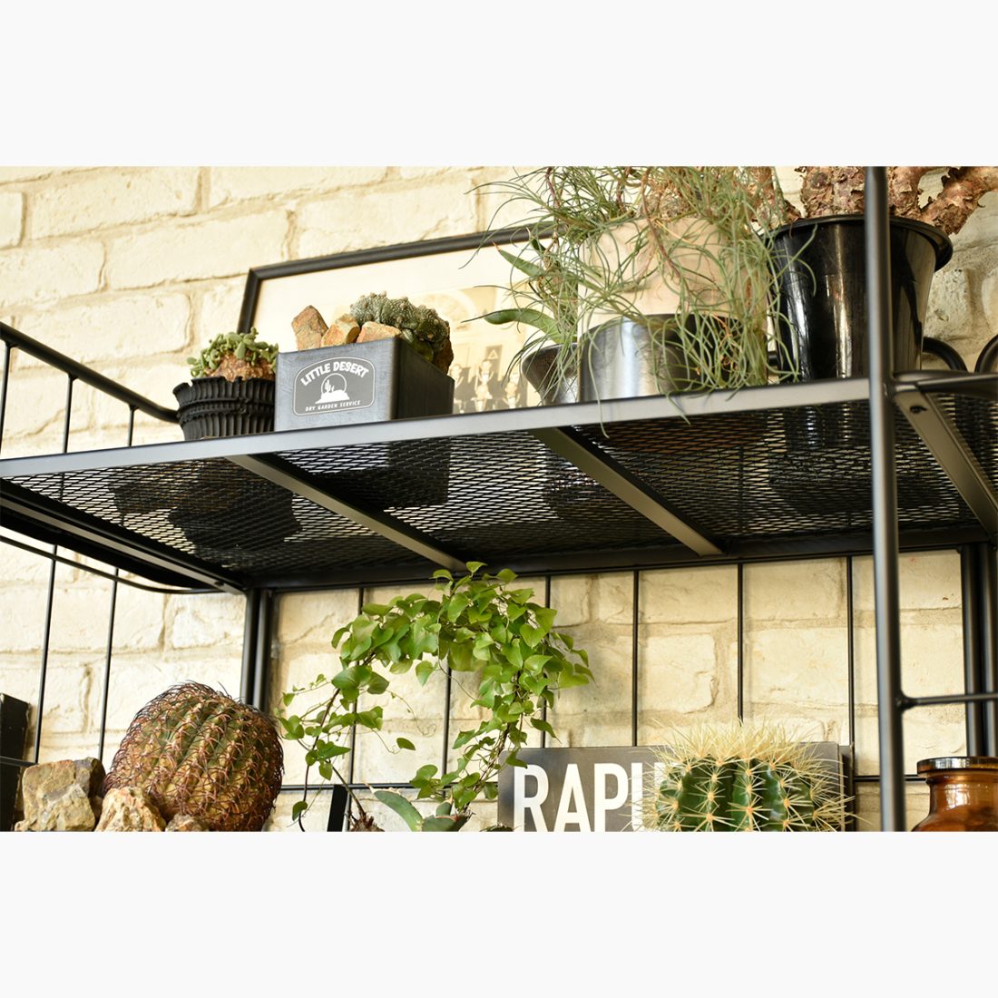LD SHELF RACK 80