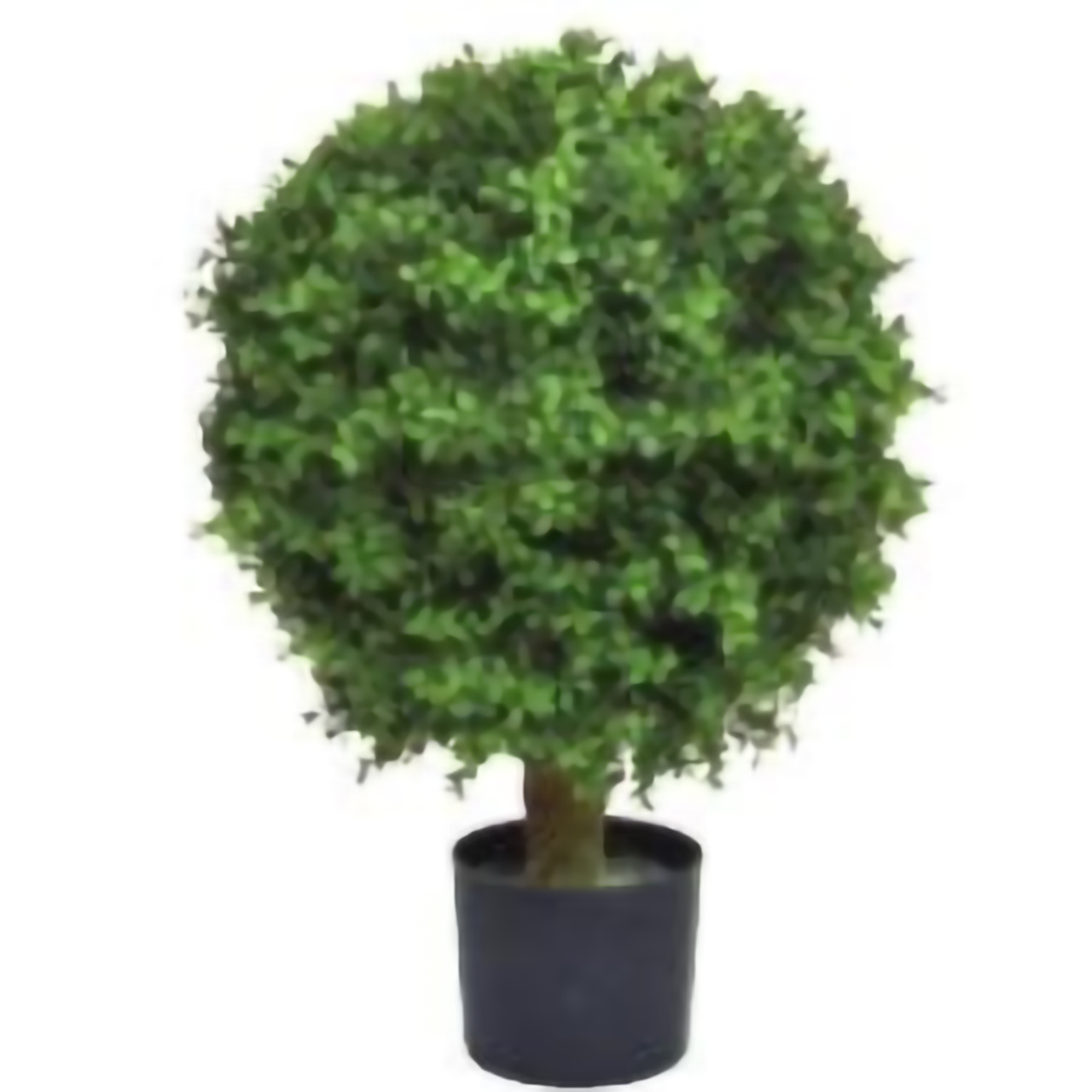 リフェイクグリーン ボール:ツゲ UV  H620㎜