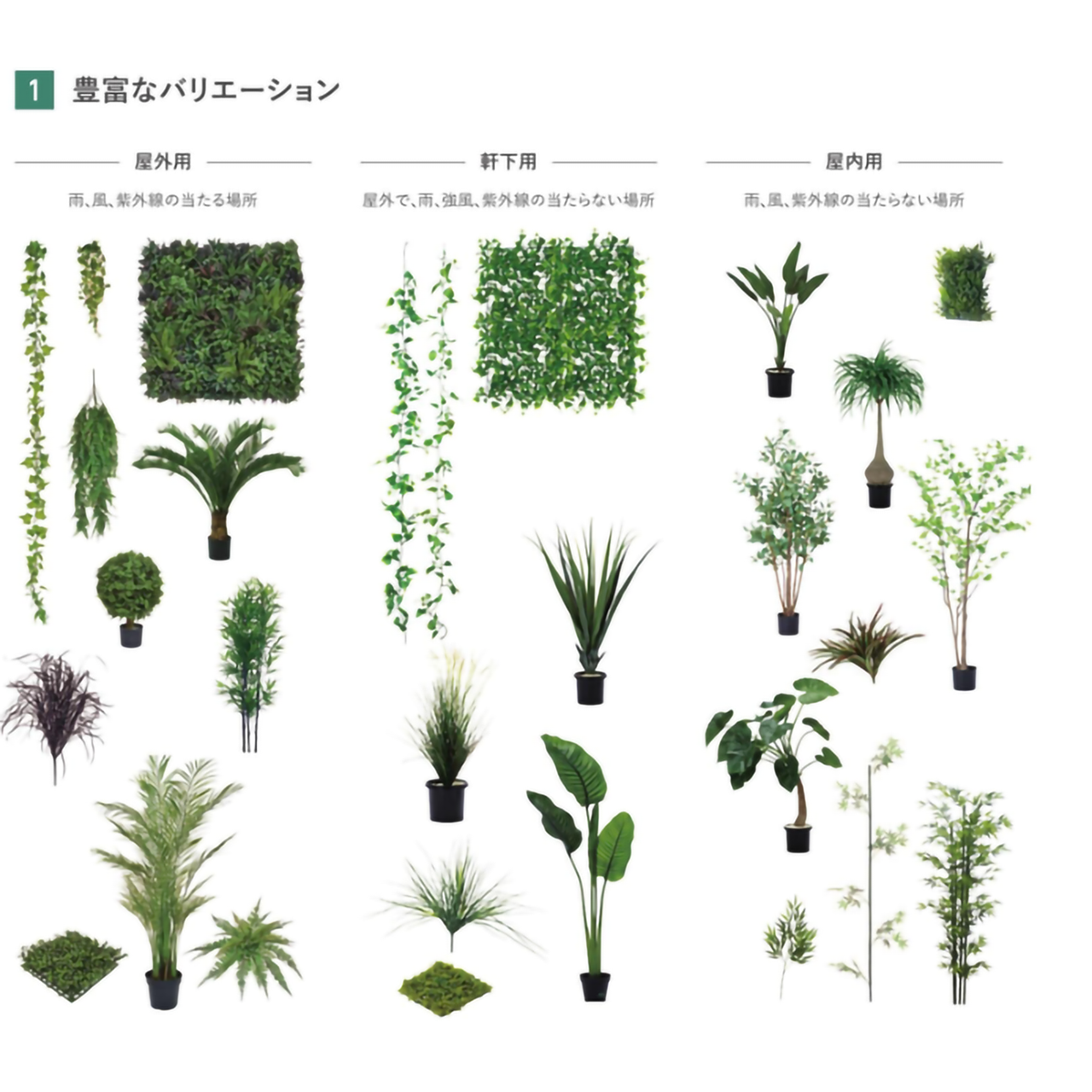 リフェイクグリーン ストレチア  H1200㎜