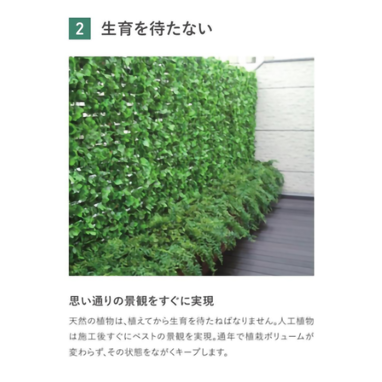 リフェイクグリーン ストレチア  H1200㎜