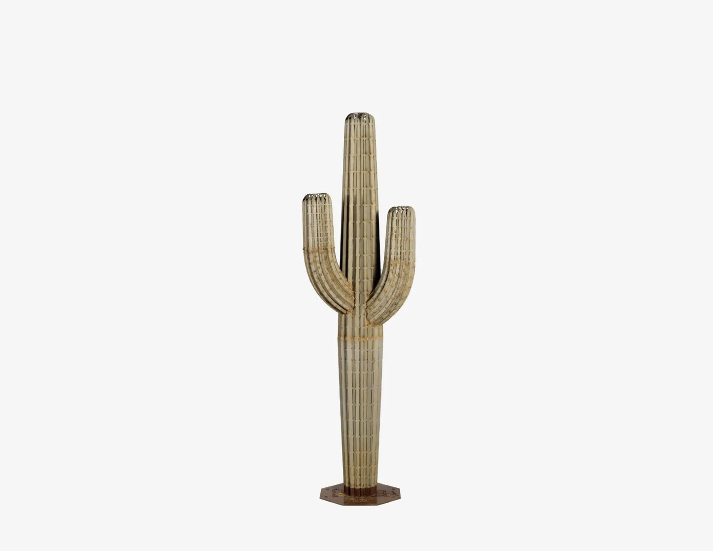 Saguaro Cactusーサワロカクタスー