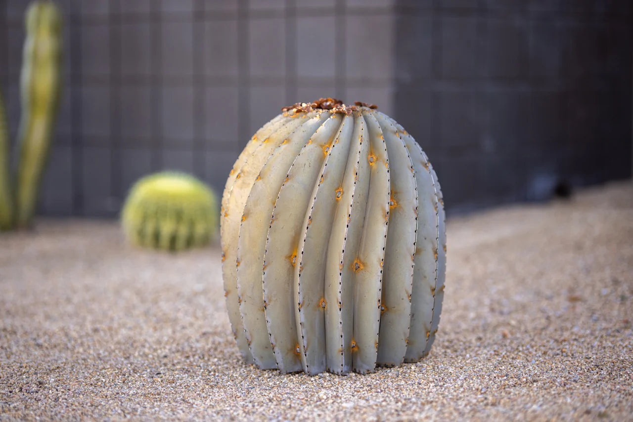 Fishhook Barrel Cactusーフィッシュフック・バレル・カクタスー