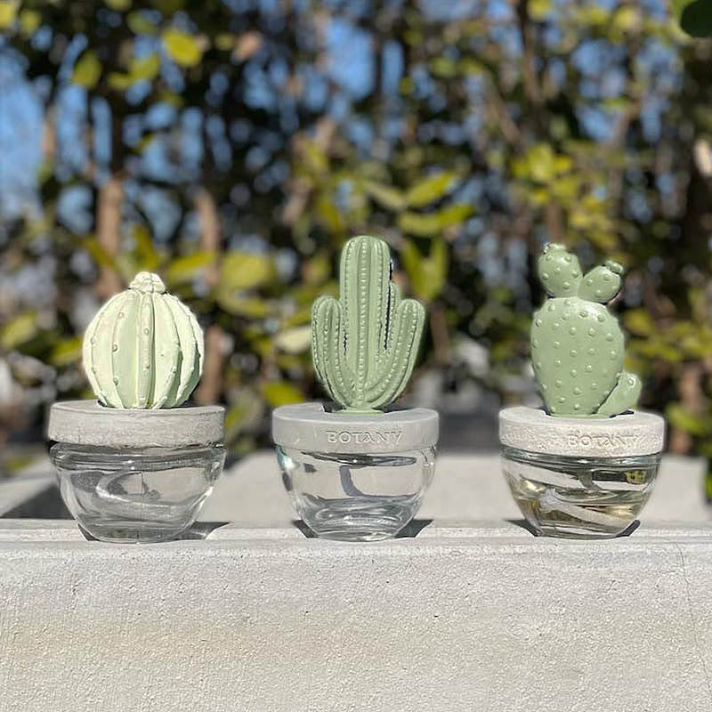 CACTUS FRAGRANCE DIFFUSER