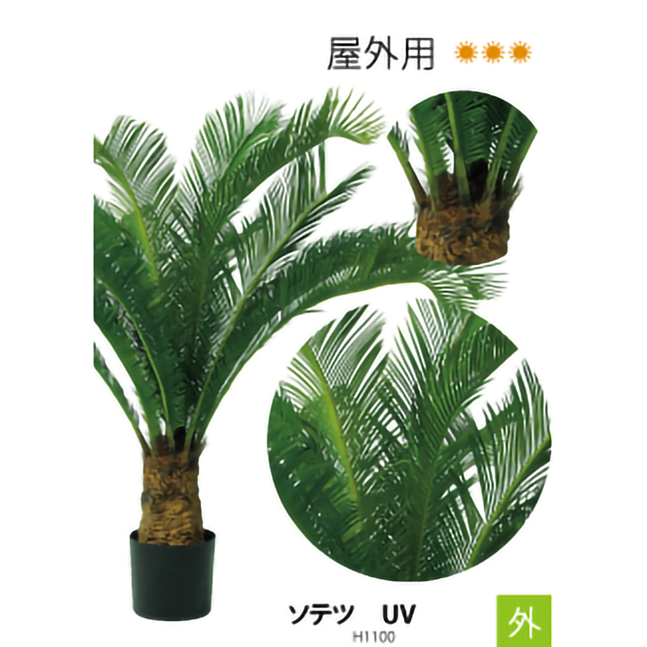 リフェイクグリーン ソテツUV    H1500㎜