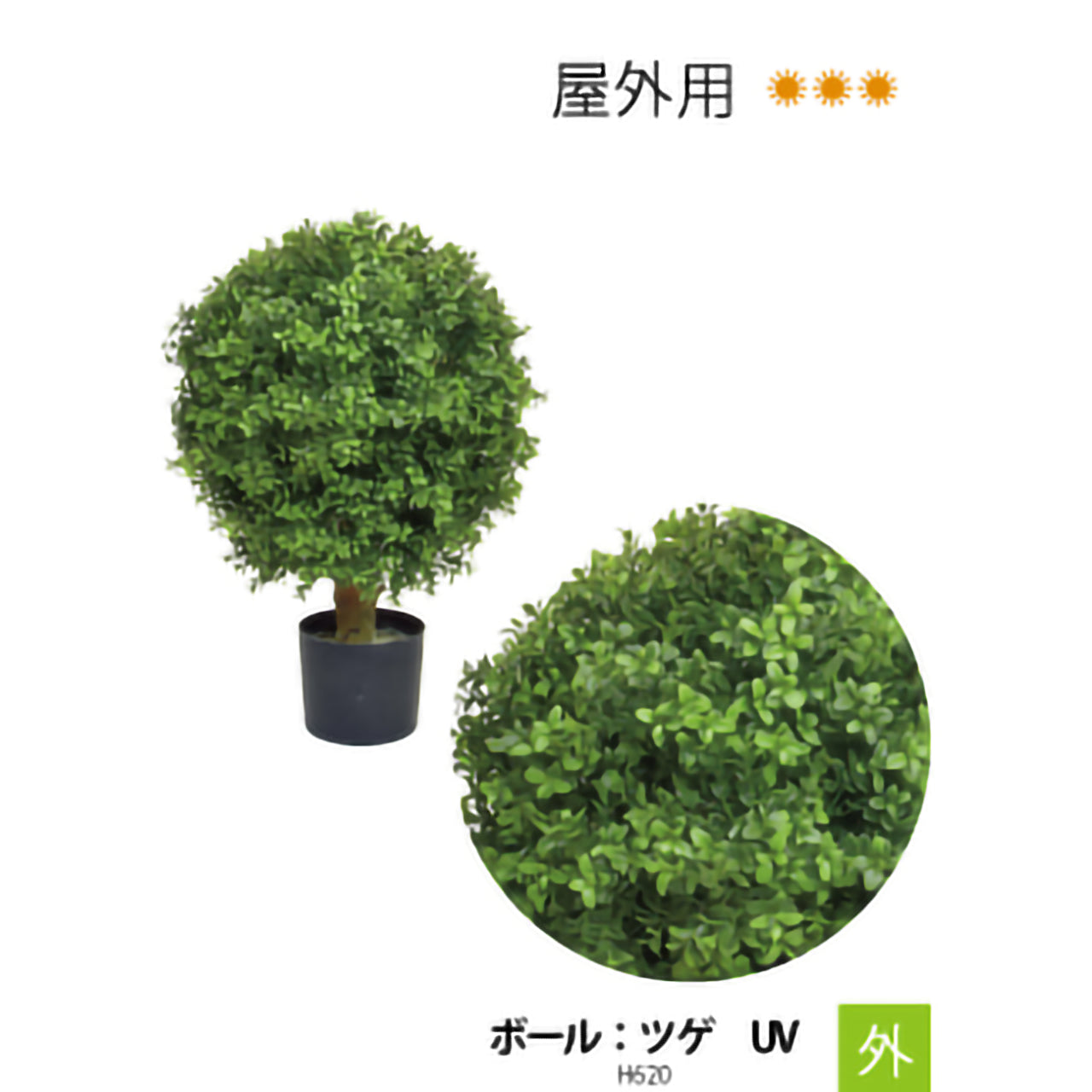 リフェイクグリーン ボール:ツゲ UV  H620㎜