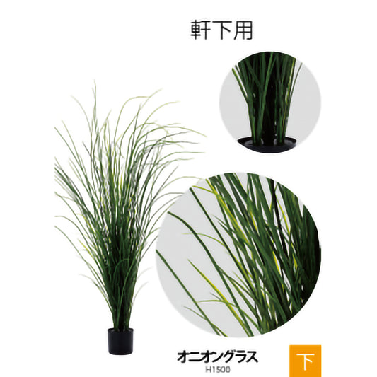 リフェイクグリーン オニオングラス   H1500㎜