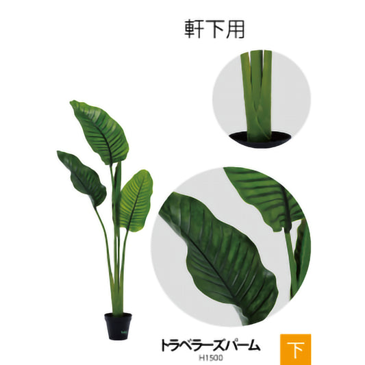 リフェイクグリーン トラベラーズパーム   H1500㎜