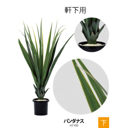 リフェイクグリーン パンダナス   H1100㎜