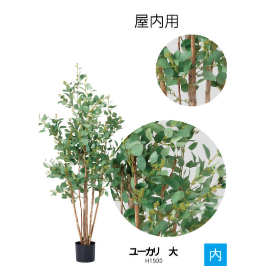 リフェイクグリーン ユーカリ大  H1500㎜