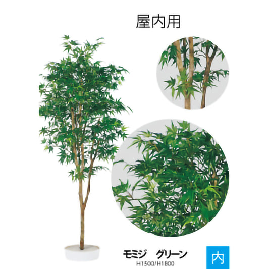 リフェイクグリーン モミジ H1500mm/H1800mm