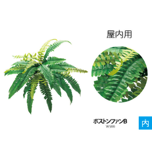 リフェイクグリーン ボストンファンB W500mm