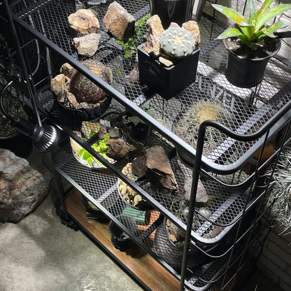 LD SHELF RACK 80
