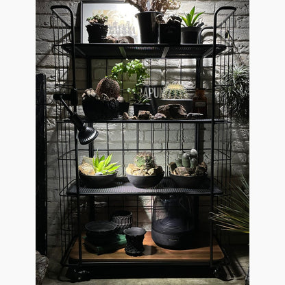 LD SHELF RACK 80