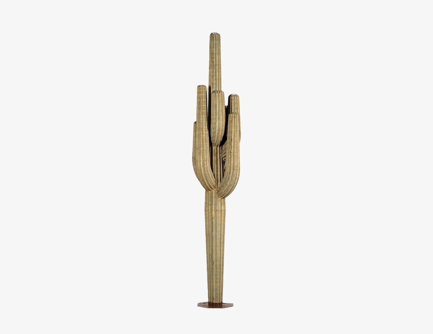 Saguaro Cactusーサワロカクタスー
