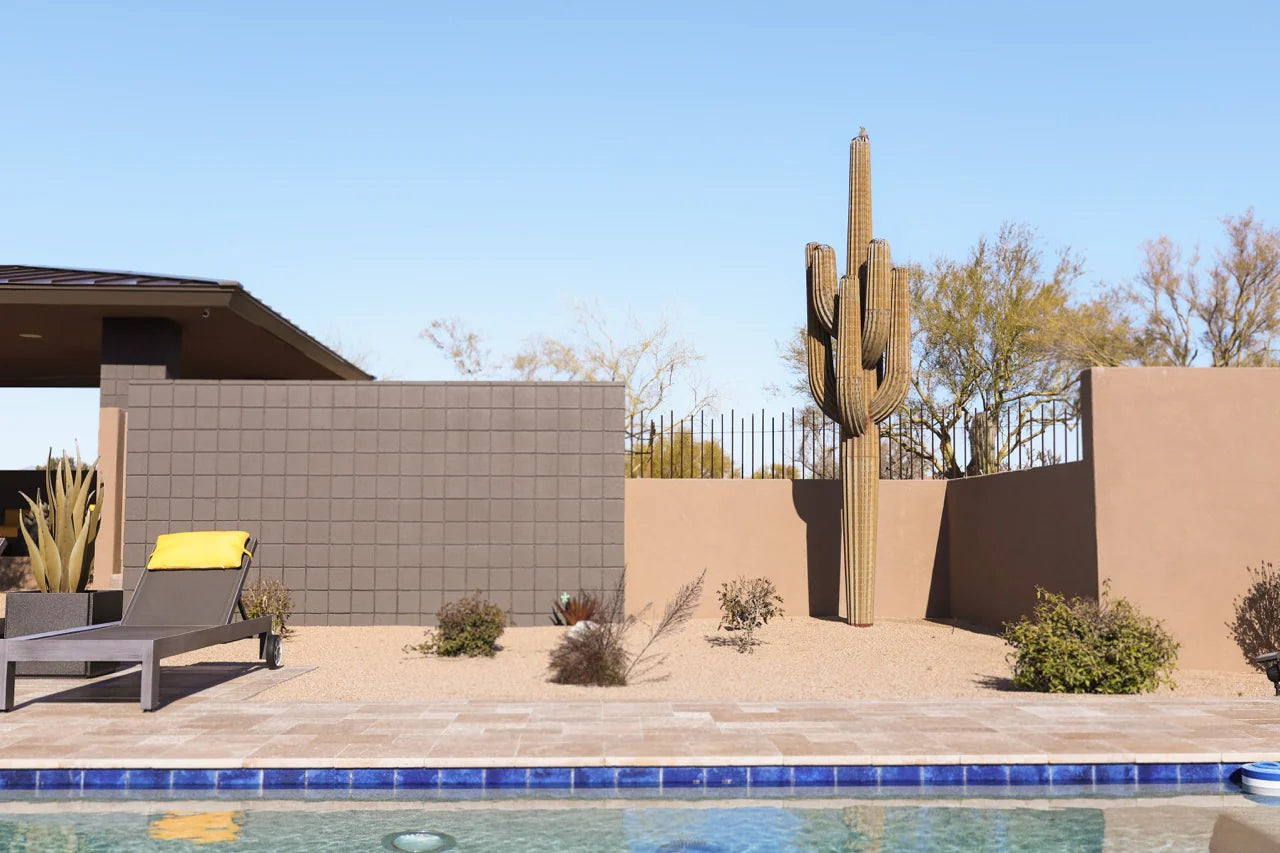 Saguaro Cactusーサワロカクタスー