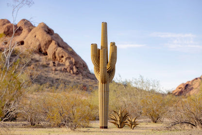 Saguaro Cactusーサワロカクタスー