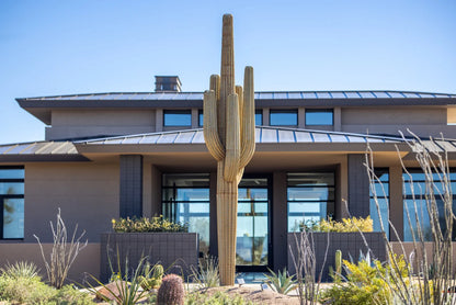 Saguaro Cactusーサワロカクタスー
