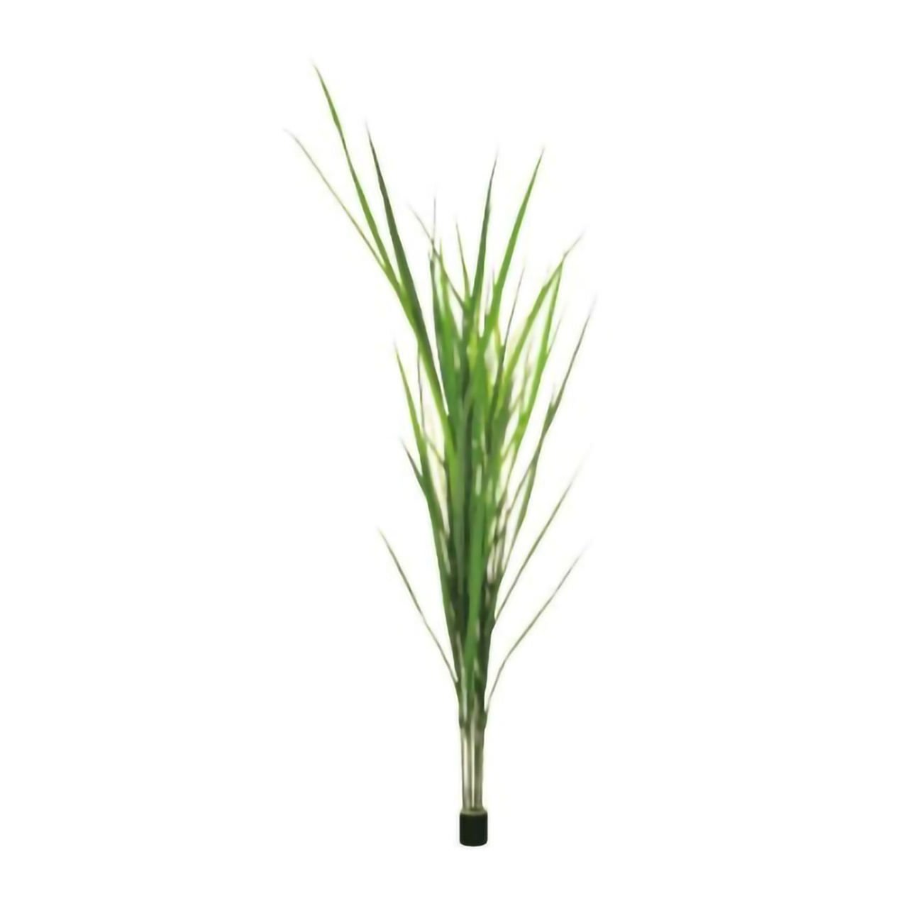 リフェイクグリーン　ヨシ　FUV　H1500㎜