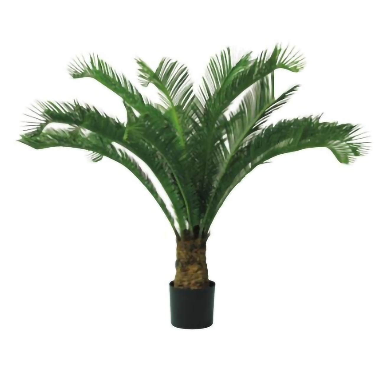 リフェイクグリーン　ソテツUV    H1500㎜