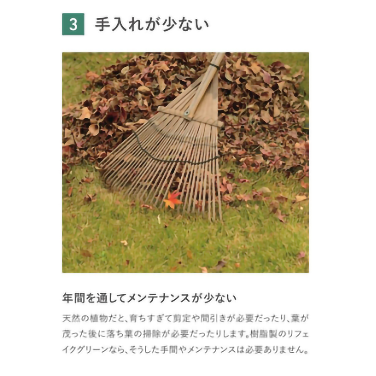 リフェイクグリーン　ストレチア　 H1200㎜