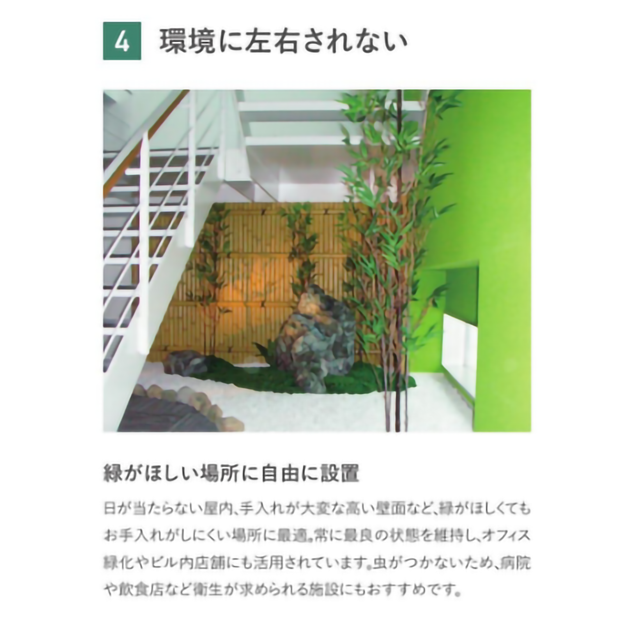 リフェイクグリーン　ストレチア　 H1200㎜