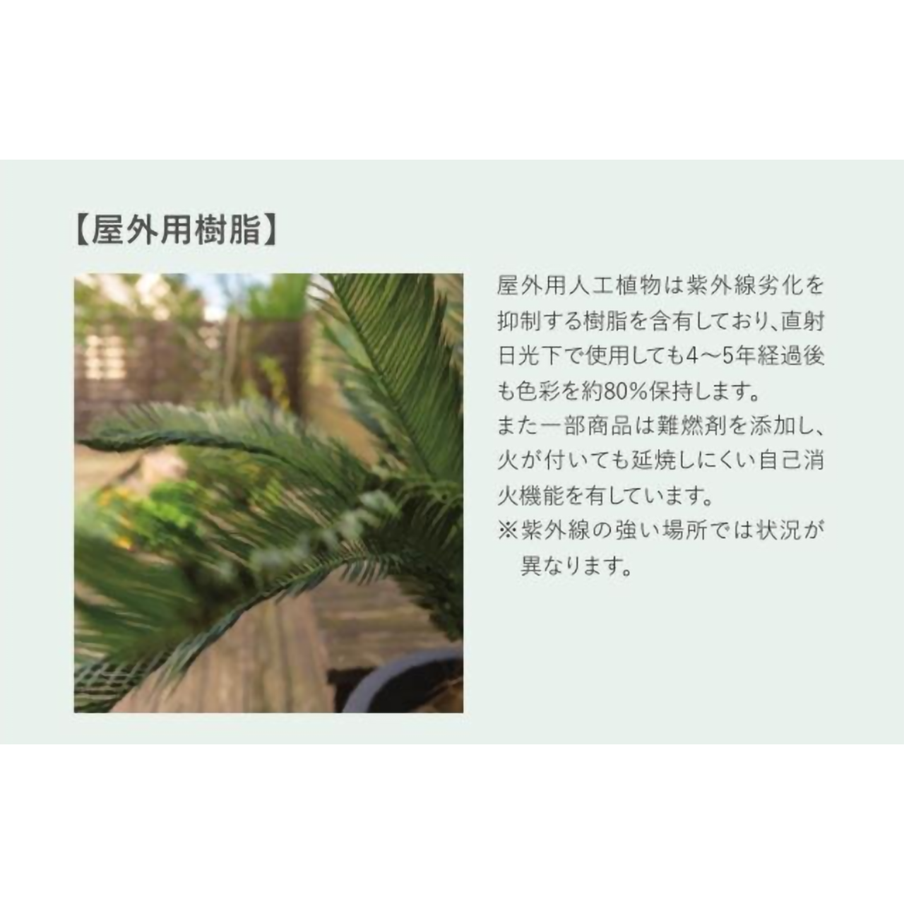 リフェイクグリーン　ボール：ツゲ　UV  H620㎜