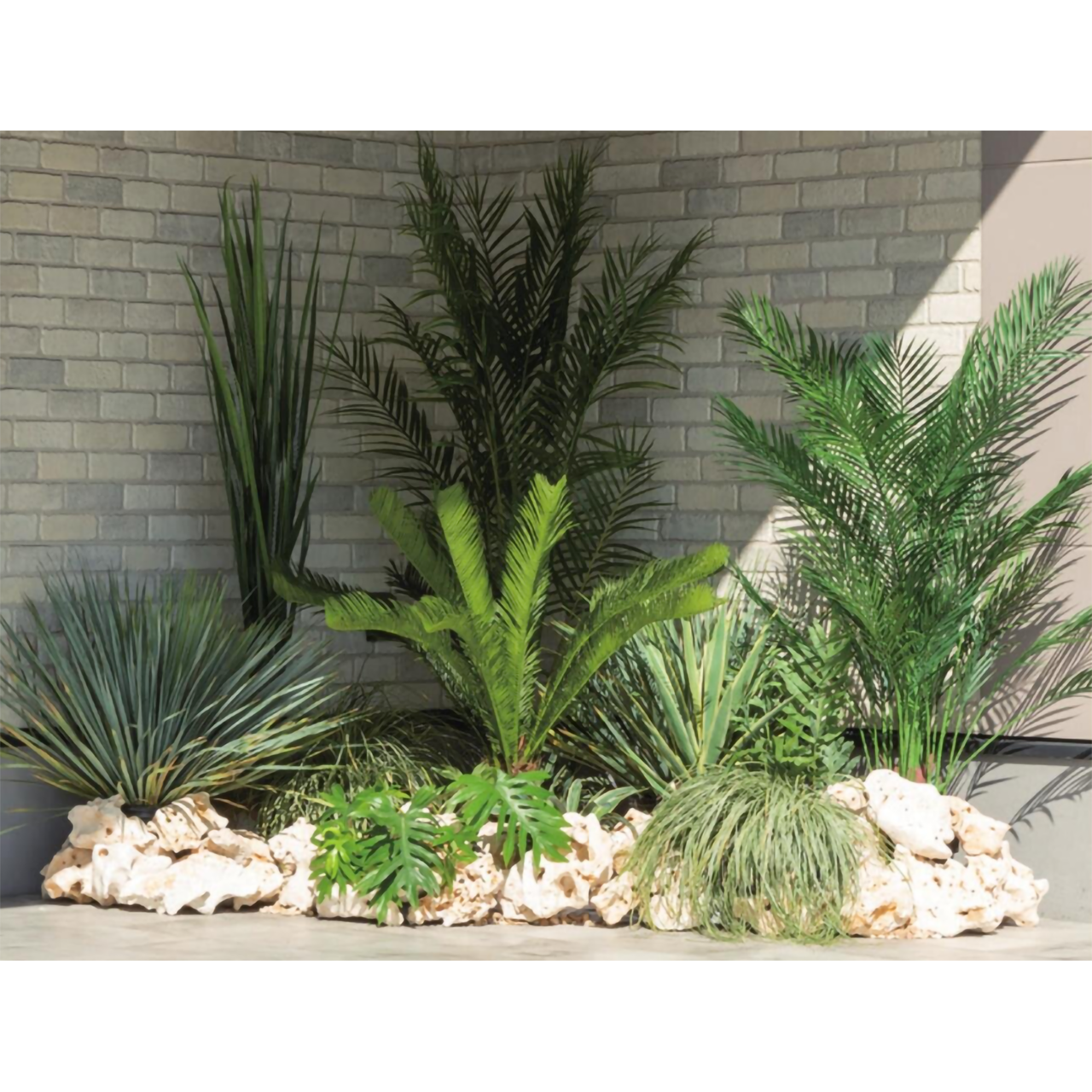 リフェイクグリーン　オニオングラス　  H1500㎜