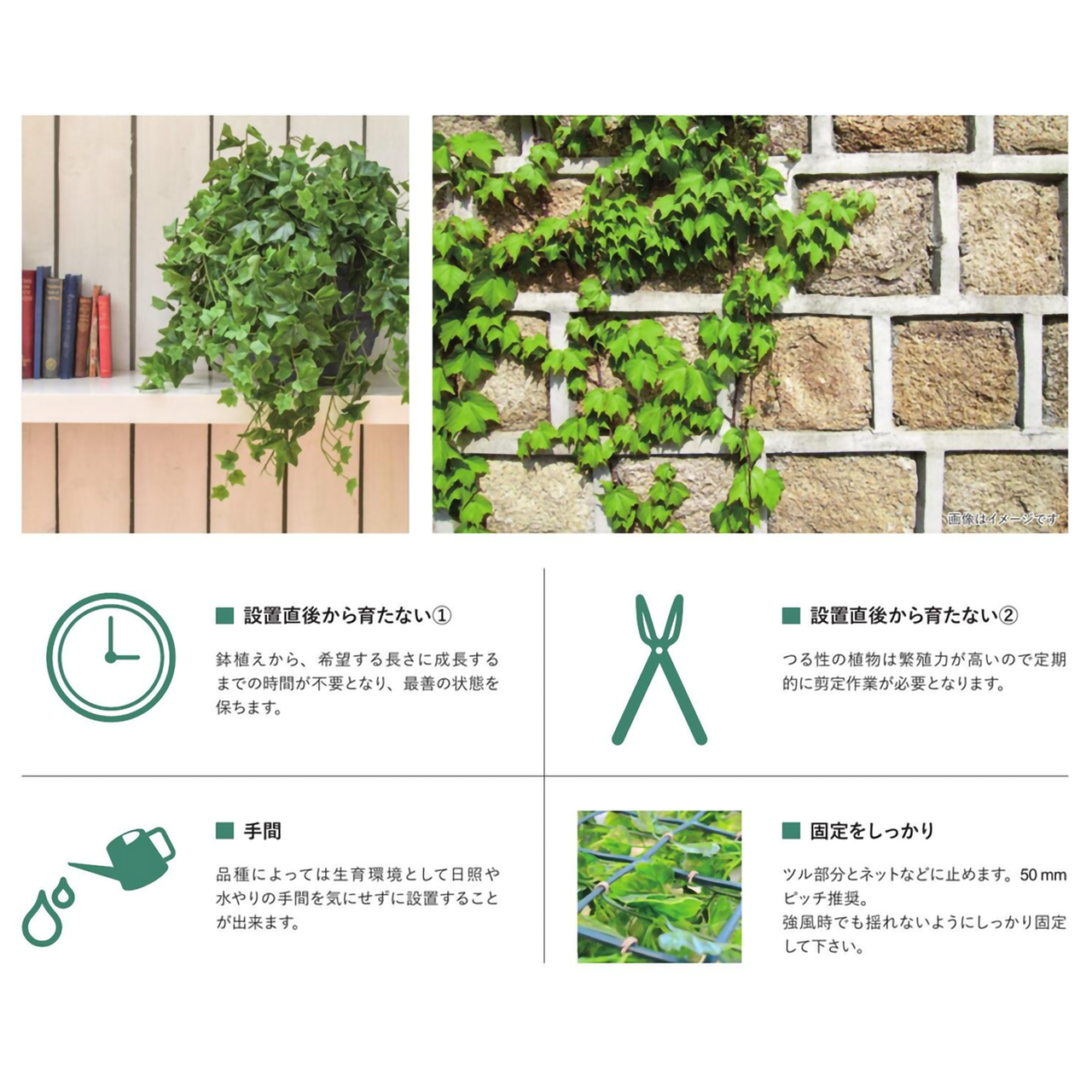 リフェイクグリーン　グレープガーランド　 L1800