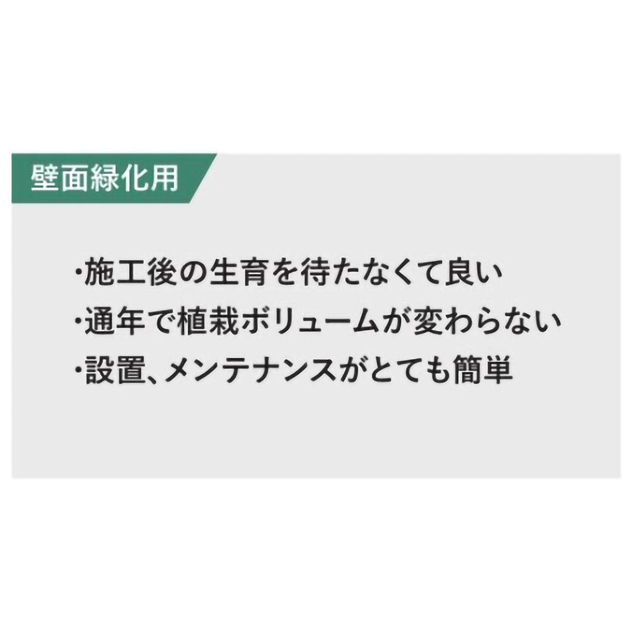 リフェイクグリーン　壁面用グリーンマット　W210㎜×H300㎜×D60㎜