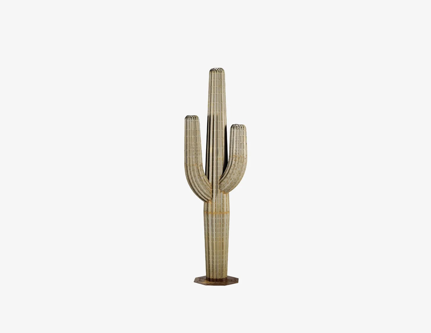Saguaro Cactusーサワロカクタスー