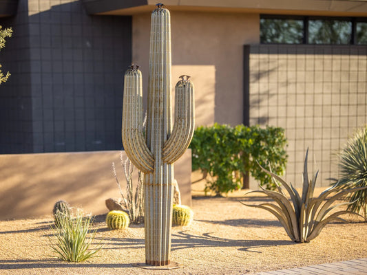 Saguaro Cactusーサワロカクタスー