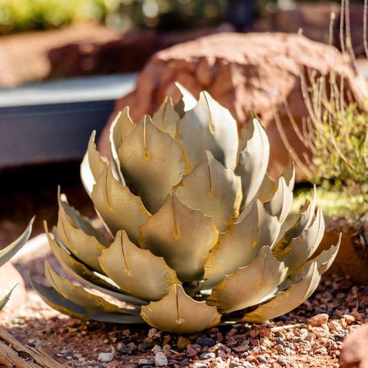 Artichoke Agave-アーティチョークアガベ-