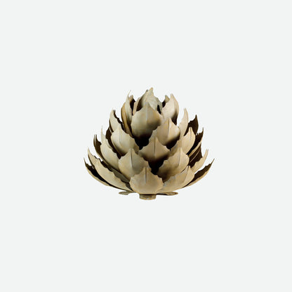 Artichoke Agave-アーティチョークアガベ-