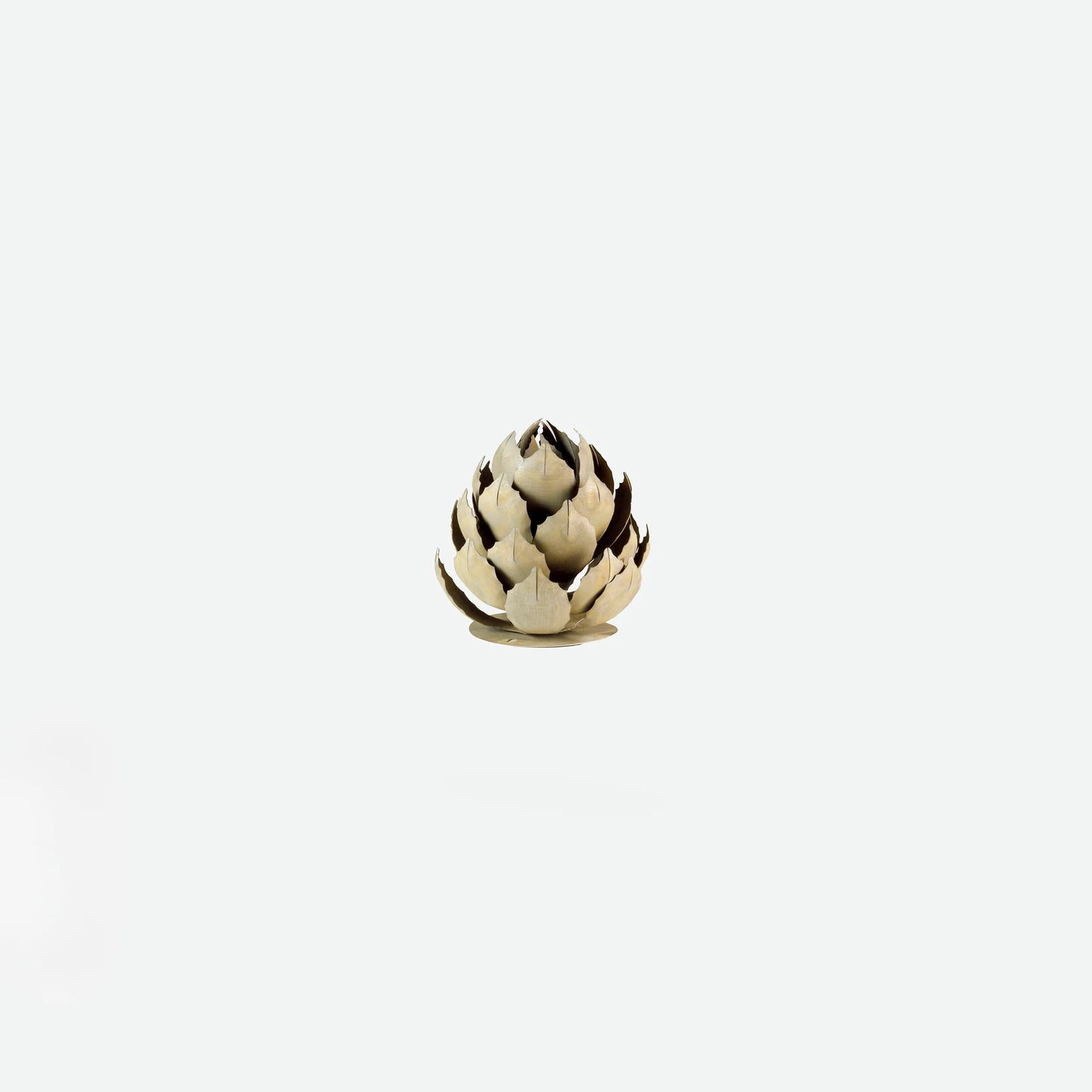 Artichoke Agave-アーティチョークアガベ-