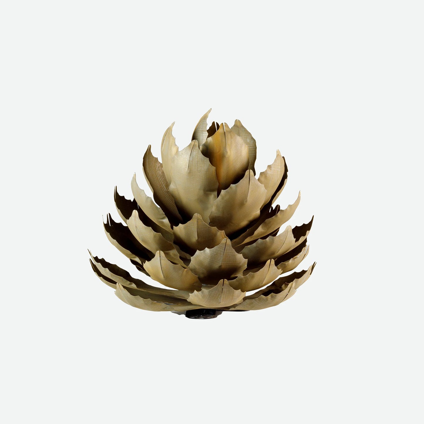 Artichoke Agave-アーティチョークアガベ-