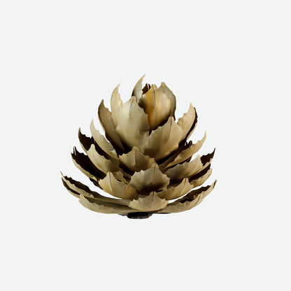 Artichoke Agave-アーティチョークアガベ-