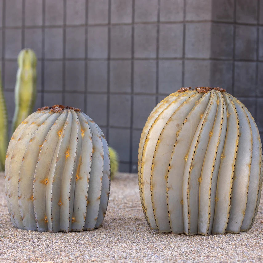 Fishhook Barrel Cactusーフィッシュフック・バレル・カクタスー