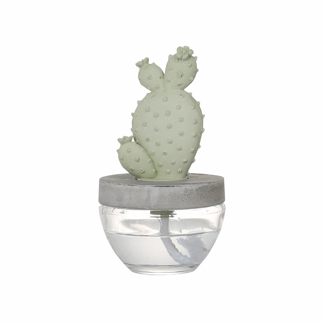 CACTUS FRAGRANCE DIFFUSER