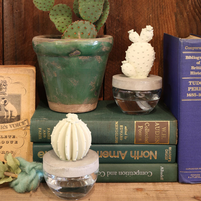 CACTUS FRAGRANCE DIFFUSER