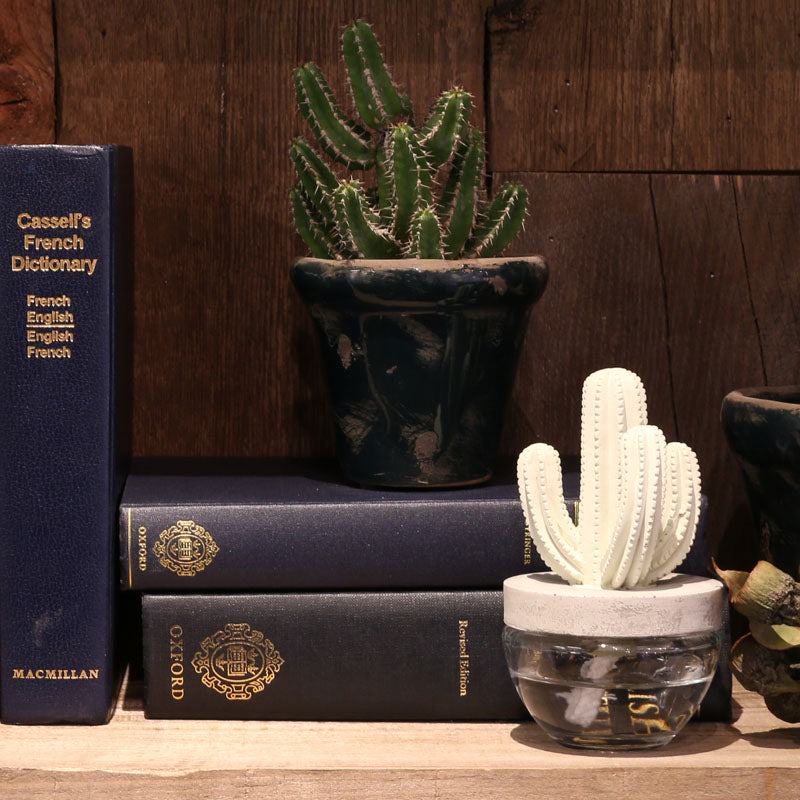 CACTUS FRAGRANCE DIFFUSER