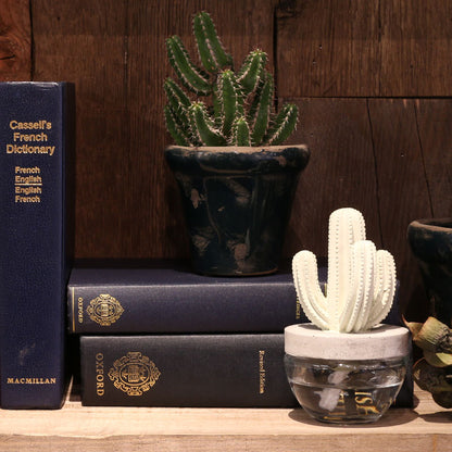 CACTUS FRAGRANCE DIFFUSER
