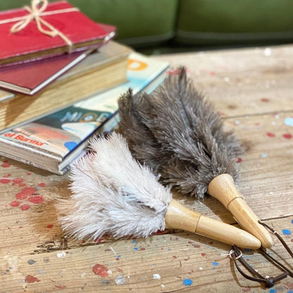 FEATHER DUSTER MINI