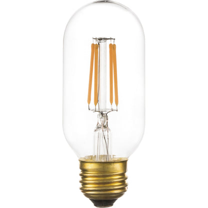 LED-101／ LED-102  エジソン電球（LED）