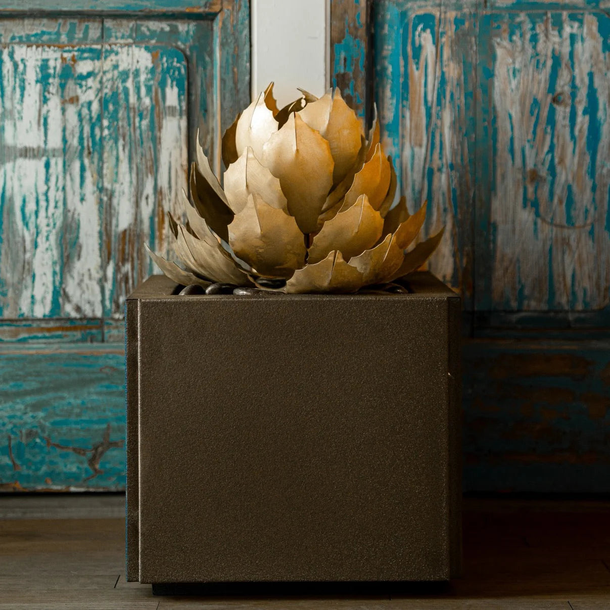 Artichoke Agave-アーティチョークアガベ-