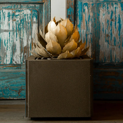 Artichoke Agave-アーティチョークアガベ-