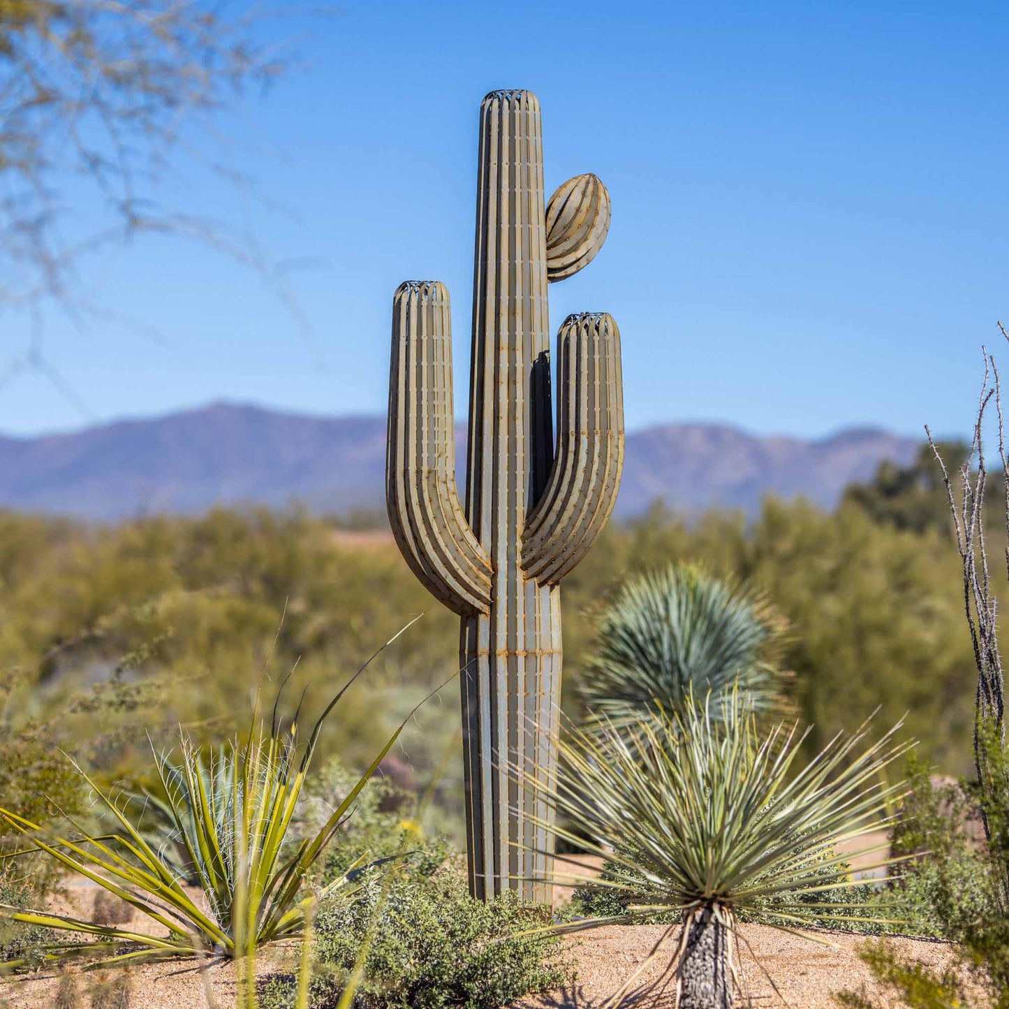 Saguaro Cactus 専用オプション：Nub & Flowers