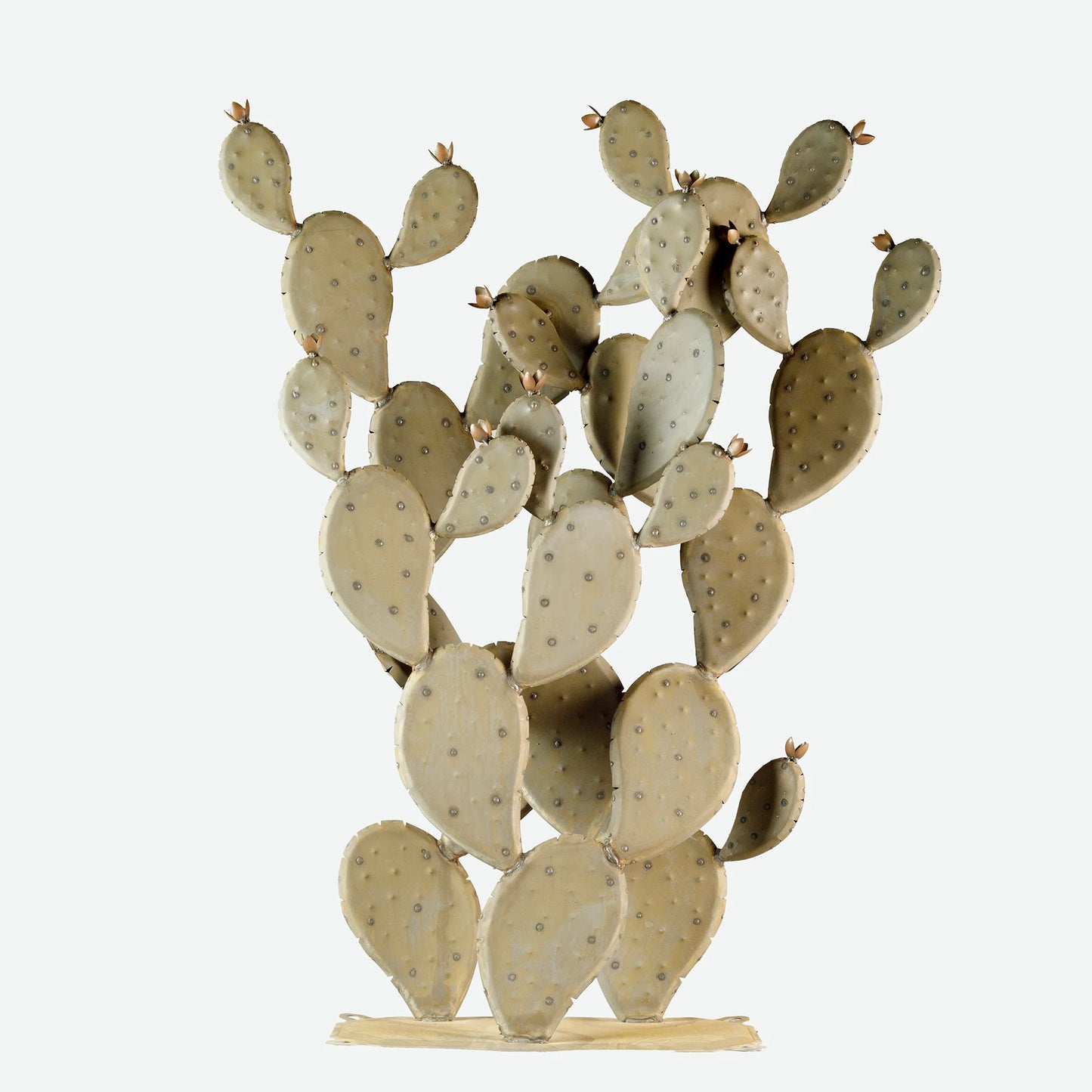 Prickly Pear-プリックリーペア- （ウチワサボテン）