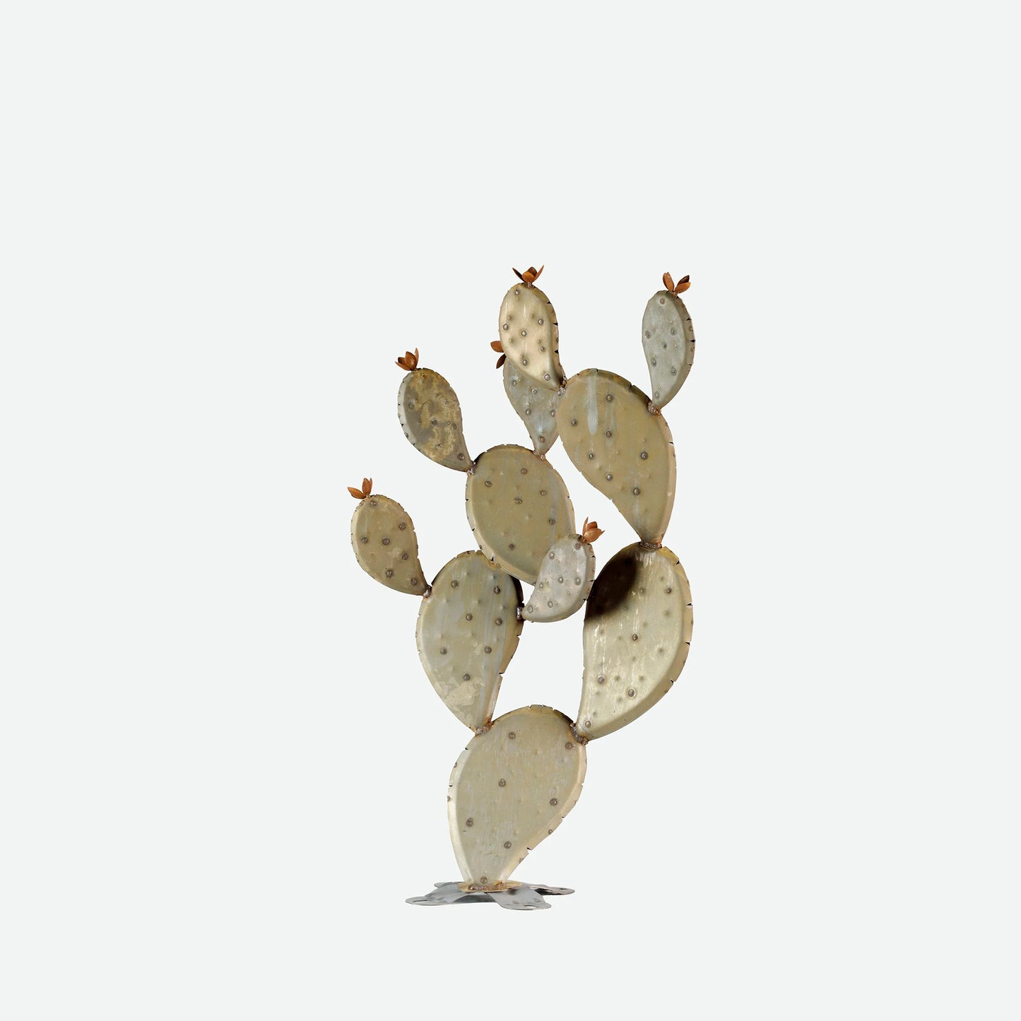 Prickly Pear-プリックリーペア- （ウチワサボテン）