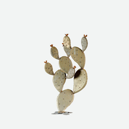 Prickly Pear-プリックリーペア- （ウチワサボテン）