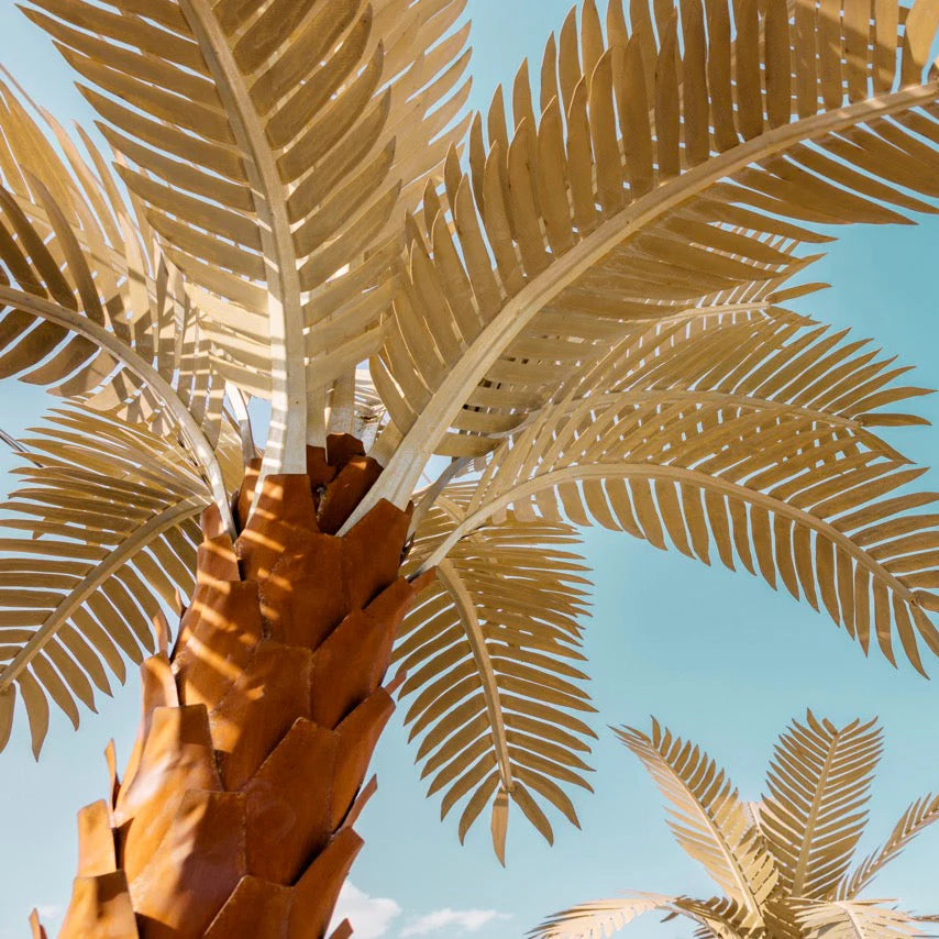 Sunset Palm Treeーサンセットパームー